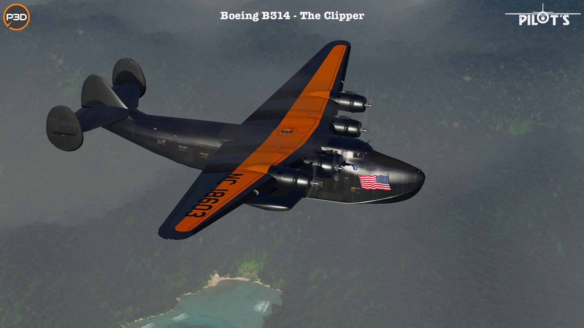 B314_RC3_PanAm_06.jpg